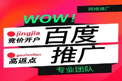 百度推广实战案例：提升网站流量技巧